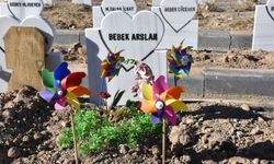 Parçalanmış bebek cesedini mezardan tilki çıkarmış