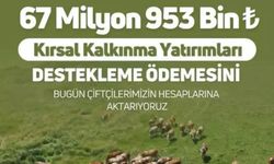 Bakanlıktan çiftçilere 67 milyon 953 bin lira destek ödemesi