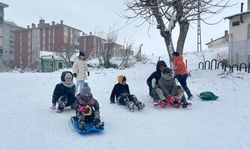 Çocukların 'tepsili' kayak keyfi