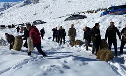 Erzurum'da yaban hayatı için doğaya yem bırakıldı