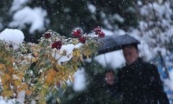 Meteoroloji'den 11 il için kuvvetli kar uyarısı