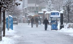 Doğu Anadolu'da kar yerini dondurucu soğuklara bıraktı