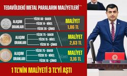 1 TL'nin maliyet 3 TL'yi aştı