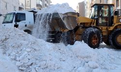 Erzurum'da günde 970 kamyon kar, şehir dışına taşınıyor