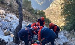 Kayalıklardan düşen avcı için arama çalışma başlatıldı