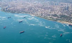 Marmara Denizi'nde müsilaj tehlikesi devam ediyor