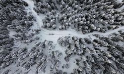 Anadolu'nun yüce dağı Ilgaz doğa tutkunlarını cezbediyor