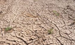 BM'den iklim değişikliğinin 2050'ye kadar 80 milyon kişiyi daha açlığa itebileceği uyarısı