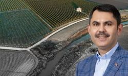 Murat Kurum 2B arazilerinde yaşayan 5 milyon kişiye tapu verileceğini açıkladı