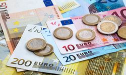 Euro rekor tazeledi