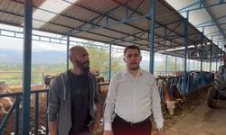 Fiyat değil, feryat açıklandı! “Bu üreticiye reva mı?”