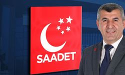İbrahim Yıldız: Zeytinliklerin "madencilik" adı altında yok edilmesi kabul edilemez