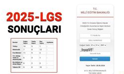 LGS sınav sonuçları 2025 açıklandı: (MEB LGS merkezi sınav sonuçları sorgulama ekranı)