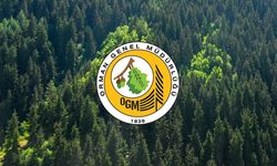 OGM’den yüksek yangın riski uyarısı: Bir kıvılcım, felakete dönüşebilir