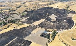 Amasya’da tarım arazisinde çıkan yangında yaklaşık 500 dönüm alan zarar gördü