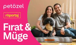 Petözel Kurucuları Müge Erkent Baki ve Fırat Baki ile İlham Veren Bir Girişim Hikayesi