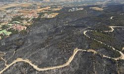 Çanakkale merkez ve Bayramiç'teki orman yangınları tamamen kontrol altına alındı