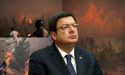 Çanakkale Belediye Başkanı'nından Çanakkale'deki orman yangınlarına ilişkin açıklama
