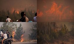 Çanakkale'nin iki ayrı noktasında orman yangını