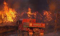 Çanakkale'de alevlerle mücadele sürüyor