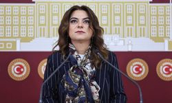DEM Partili Koçyiğit: Komisyon, süreci yürütenlerin hukuksal güvencesini sağlamalıdır