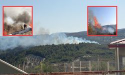 Hatay'da ormanlık alanda yangın çıktı