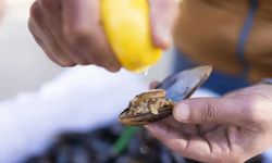 Ortaköy'de tavuk tantuni, midye ve sucuk yediler: İki çocuğun ardından anne de öldü