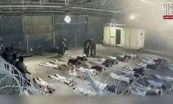 İşgalci İsrail cezaevi raporu: Cinsel işkence, üst rütbelilerin emriyle yapılıyor