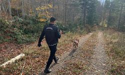 Kastamonu'da kaybolan anne ve 5 yaşındaki oğlundan 9 gündür haber alınamıyor