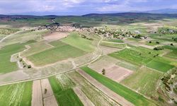 FAO'dan Türkiye'ye 8,1 milyon dolarlık kaynak