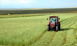 Tarlada enflasyon patladı: Üretici fiyatları yüzde 45’i geçti, sebze fiyatlarında fırtına kapıda