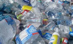 Her yıl bir tabak plastik yiyoruz: Mikroplastiklerin beyne 5 büyük zararı