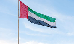 BAE'den Yemen'deki gelişmelere ilişkin açıklama: Bizi gerilimlere dahil etmeye yönelik her türlü girişimi reddediyoruz