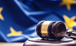 Darbe girişimi sonrası kamu görevlilerinin ihracına ilişkin AİHM'den açıklama: Özel tedbirler yürürlüğe girecek