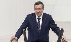 Cumhurbaşkanı Yardımcısı Cevdet Yılmaz: Tarımda yüzde 12.7 negatif büyüdük