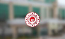 Ruhsat süreçlerinde yeni dönem: Bakanlık, geciken başvurulara resen ruhsat verebilecek