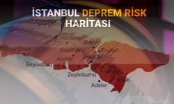 Uluslararası bilim ekibi İstanbul depremi için riskli bölgeyi işaret etti