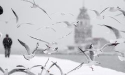 Kar ve sağanak uyarısı: İstanbul'da sıcaklık 2 dereceye düşecek