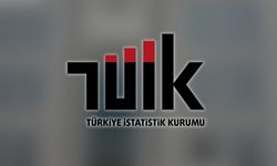 TÜİK: Bitkisel üretim 2025'te bir önceki yıla göre azaldı