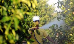 Böcek ilaçlarının satışında yeni düzenleme: Reçetesiz ve internetten satış yasak artık yasak