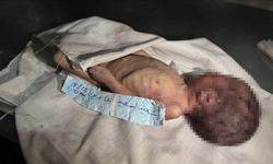 Gazze'de şiddetli soğuk nedeniyle bir aylık bebek şehit oldu