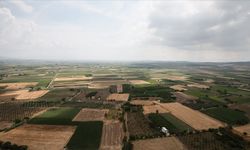 Türkiye'de erozyonla her 16 yılda 1 santimetre toprak kaybediliyor