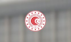 Posta ve hızlı kargo taşımacılığında gümrük işlemleri güncellendi