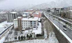 Bitlis’te okullar bir gün süreyle tatil edildi