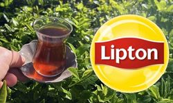 Lipton Türkiye’de 39 yıllık üretimini noktaladı: Devir süreci tamamlandı