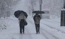 Van'da 569 yerleşim yeri ulaşıma kapandı