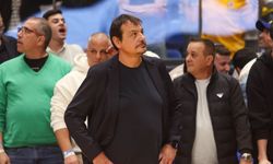 Türkiye Basketbol Federasyonu, Ergin Ataman'a yapılan saldırı için inceleme istedi