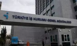 Ulusal Staj Programı'na 16 Mart'a kadar başvuru yapılabilecek