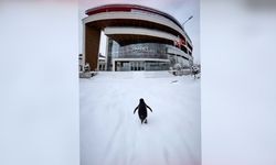 Saadet Partisi sosyal medyada viral olan "Penguen" akımına katıldı