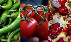 RASFF verilerine göre Türkiye pestisit ihlalinde dünya ikincisi